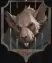 rat